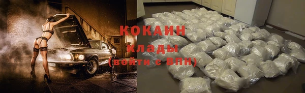 кокс Алексин