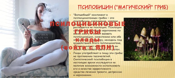 COCAINE Абаза