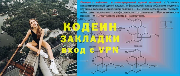 кокс Алексин