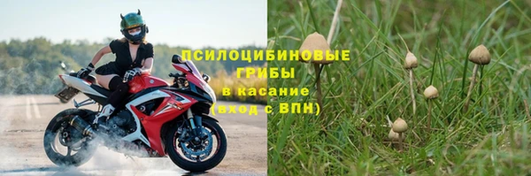 тгк Абинск