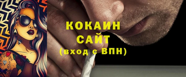 кокс Алексин