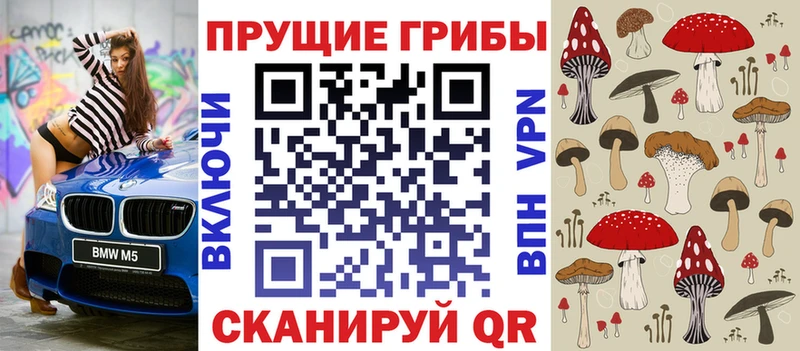 Галлюциногенные грибы мухоморы  магазин  наркотиков  Чкаловск 