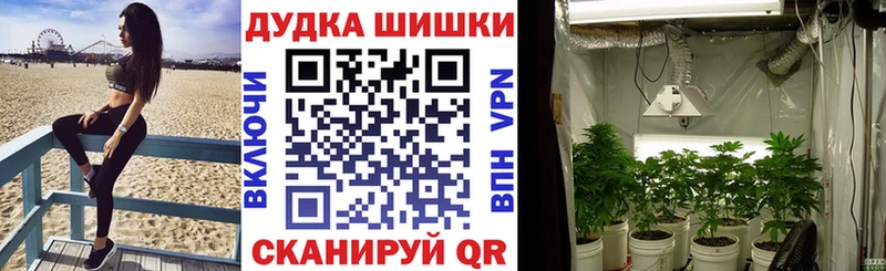 Каннабис индика  Чкаловск 